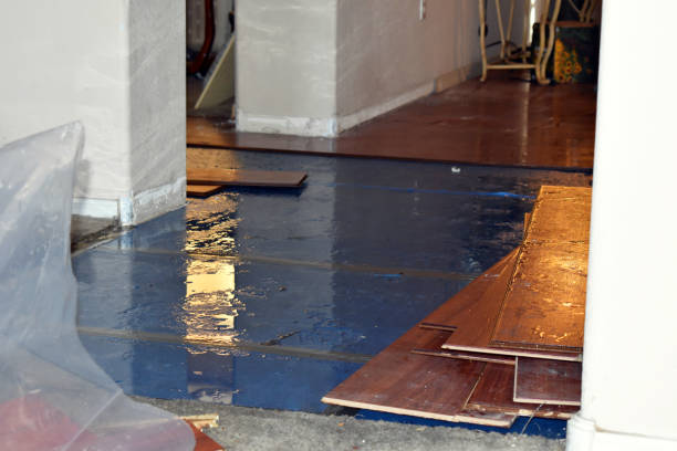 Professional Water Damage Restoration technician working in Tarpon Springs, FL